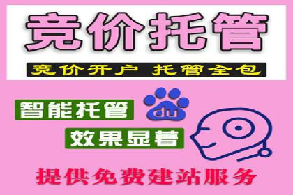 SEM托管助力企业品牌知名度提升案例